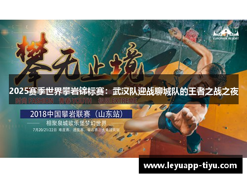 2025赛季世界攀岩锦标赛：武汉队迎战聊城队的王者之战之夜