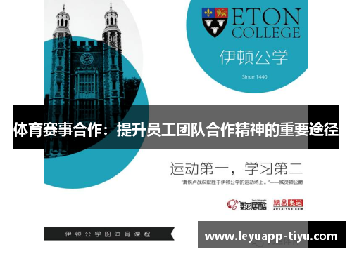 体育赛事合作：提升员工团队合作精神的重要途径